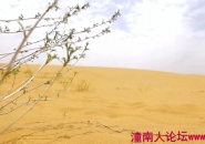 2019中秋·腾格里沙漠·环湖徒步赛+露营音乐会（潼南往返）