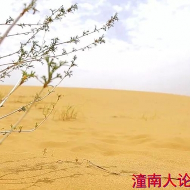 2019中秋·腾格里沙漠·环湖徒步赛+露营音乐会（潼南往返）