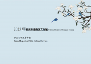 2025年重庆市潼南区文化馆公共文化服务年报