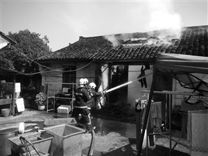 t015628f80b16168a4e.jpg