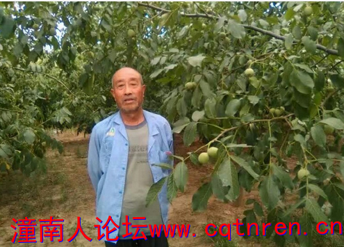 QQ截图20160720115126.png