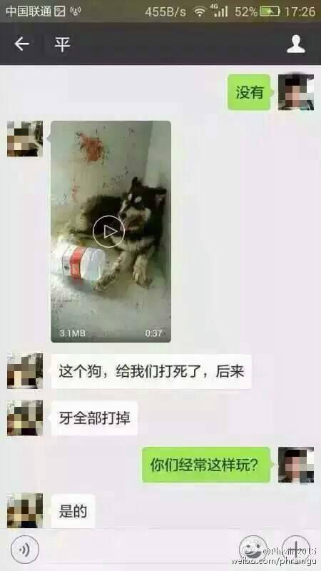 t01a3c32c8a899d3c64.jpg