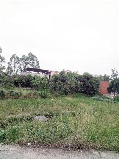 gQfm-fxvukhx4653383.jpg