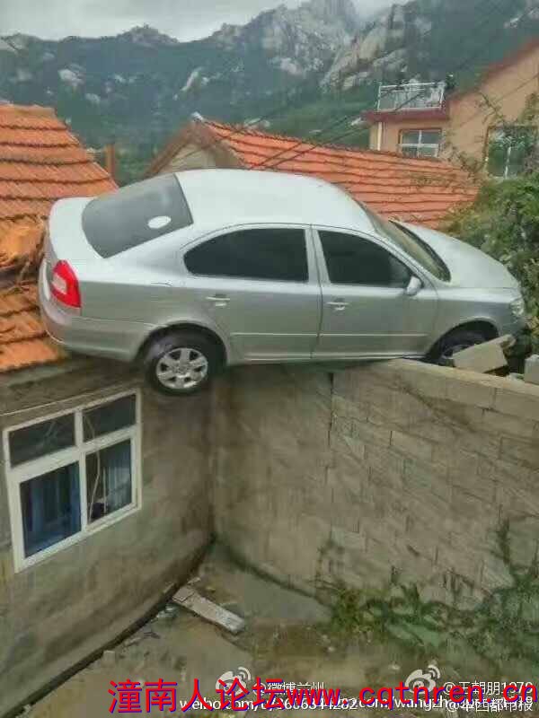 300723121985646979.jpg