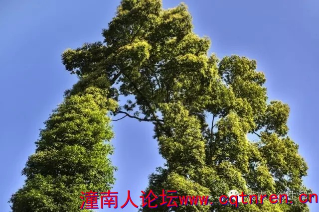 640.webp (22).jpg