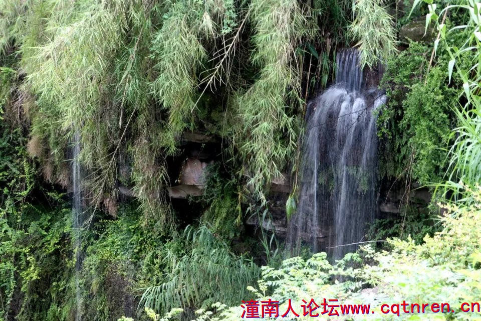 龙形1.jpg