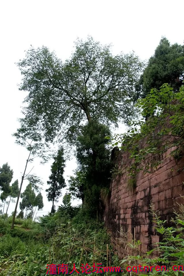 龙形天宝寨1.jpg