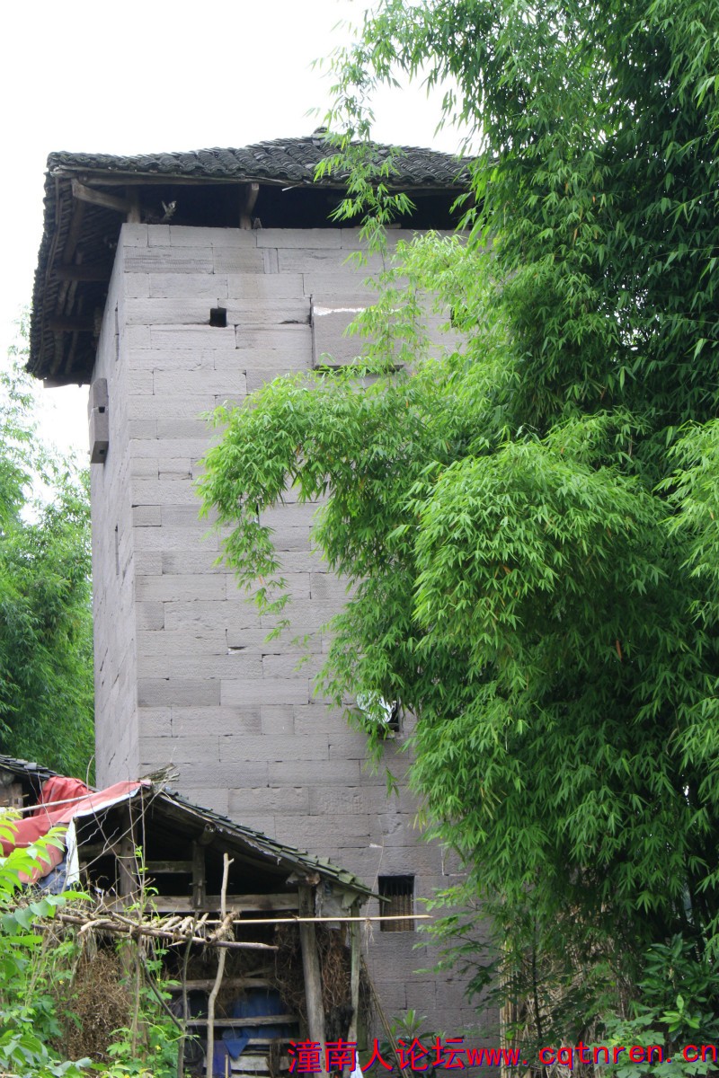 倒挂金钩碉楼.jpg