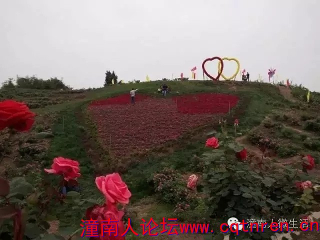 640.webp (9).jpg