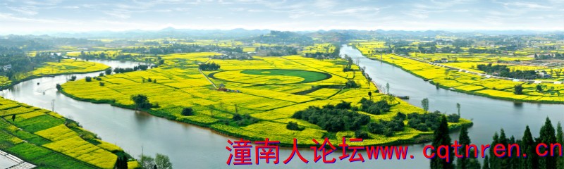 重庆潼南--中国最美油菜花海1.jpg