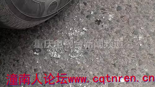 JYZV-fxxwrwm8056491.jpg