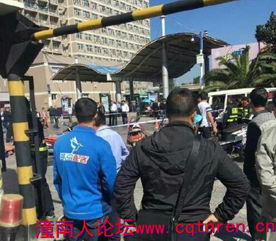016e0e147ef6d0df802bbccc0dac2a95.jpg