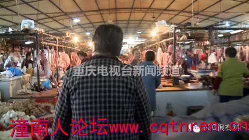 ce4ff5b1c953498a9677d8d2f40316a020161122075436.jpeg