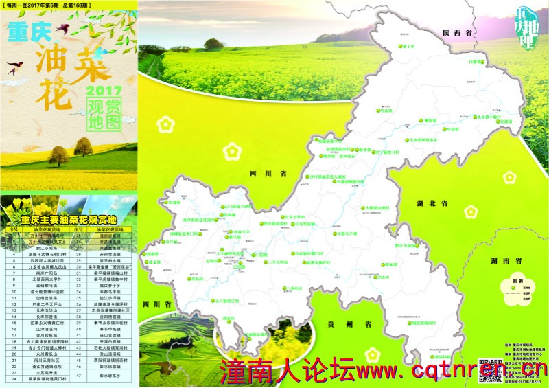 油菜花观光地图1.jpg