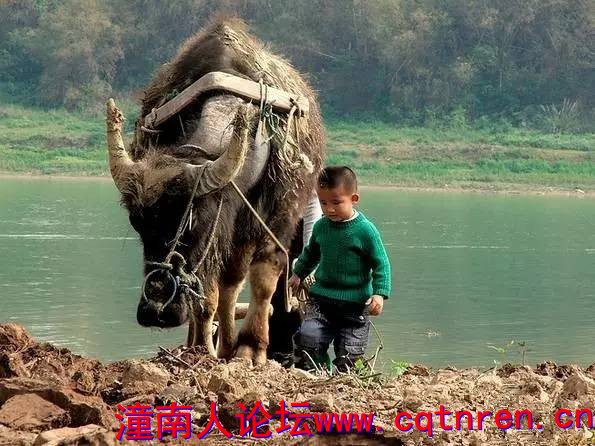 0bea4b616c285d9b55659e3dad77b251.jpg