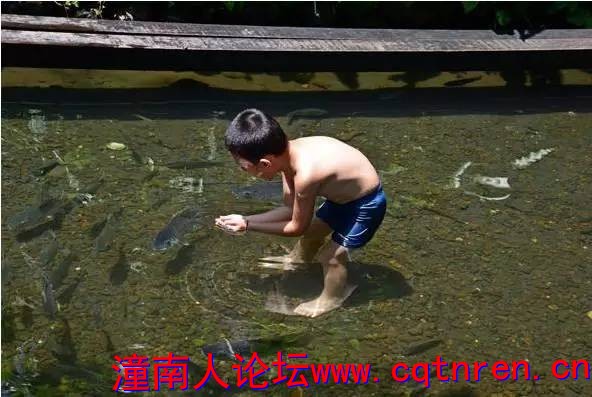bc1ac9c5f7f09d74ae379103eff73c42.jpg