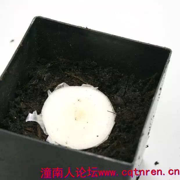 57c281ca3ddab253b30ce4476fbc2482.jpg