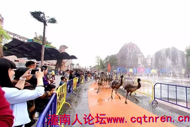 eaf0955b4254c31613a2e1d3a35ee725.jpg