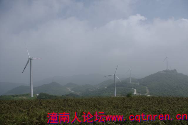 ef4dd99c7702d45e3290d69409fa4afb.jpg