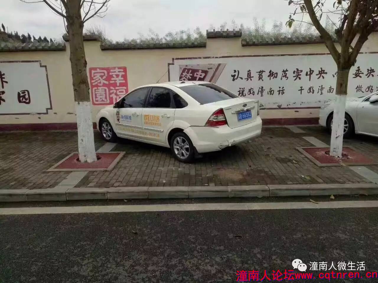 a3e0947ad7bec2aa97a829035811677f.jpg