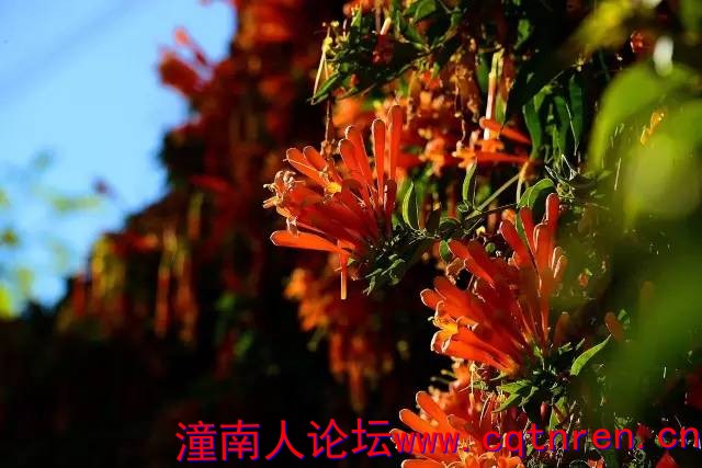 4c338fbb175ee178348ed2640195cdd6.jpg
