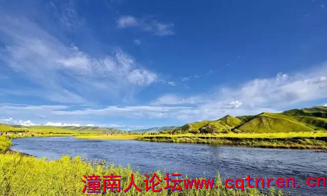13e0d5a55be9497ca161fac6f5e42fe6.jpg