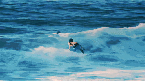 ad09492577458fbaf651d6113e952788.gif