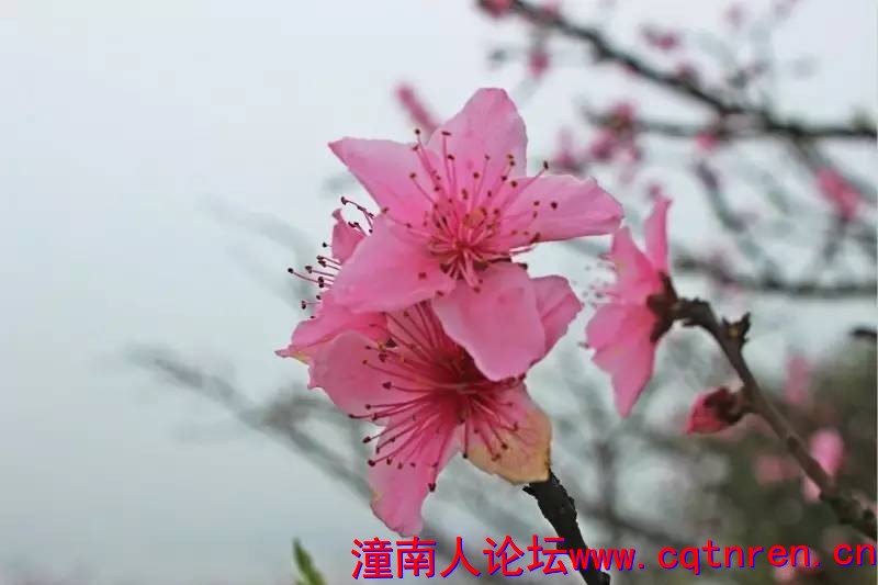 af04d0b748188c23769c959171b2f32c.jpg