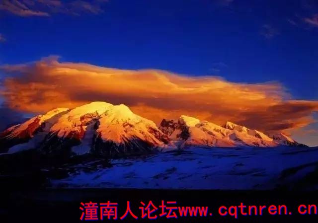 cf8851af6115d7b7378f4c2e3bee7eca.jpg