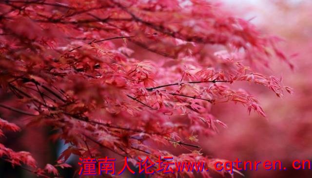 2ed41de79da07acf8f6408278bdd2925.jpg