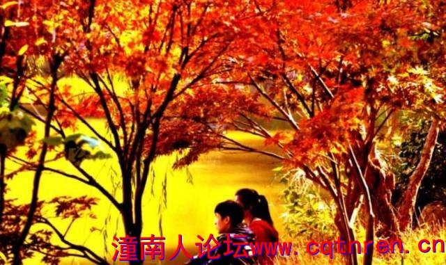 0ec36abc44bd1a2731c8f85b85db4d73.jpg
