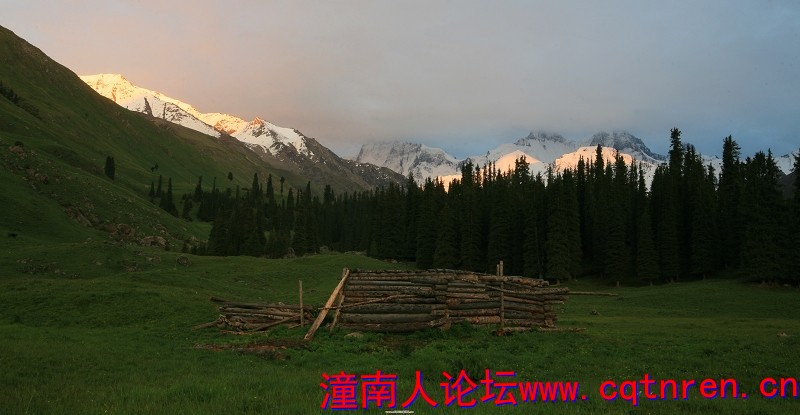 49cc69ce15ef521733c2b4af8f70307c.jpg