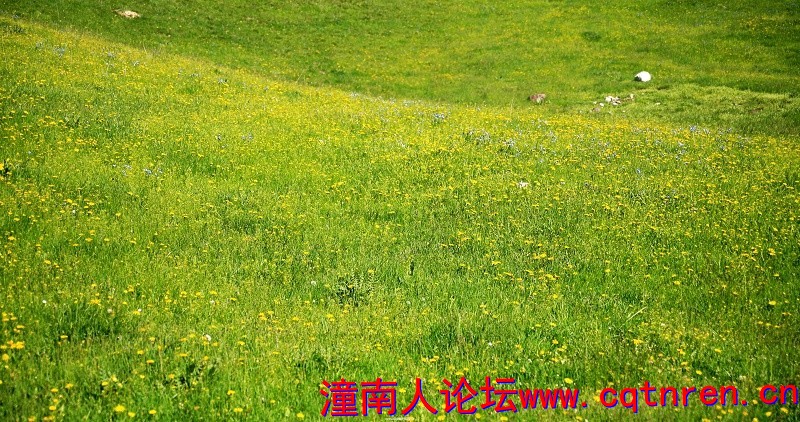 c97b3fb9a95dce10325bc2b9ddf913fb.jpg