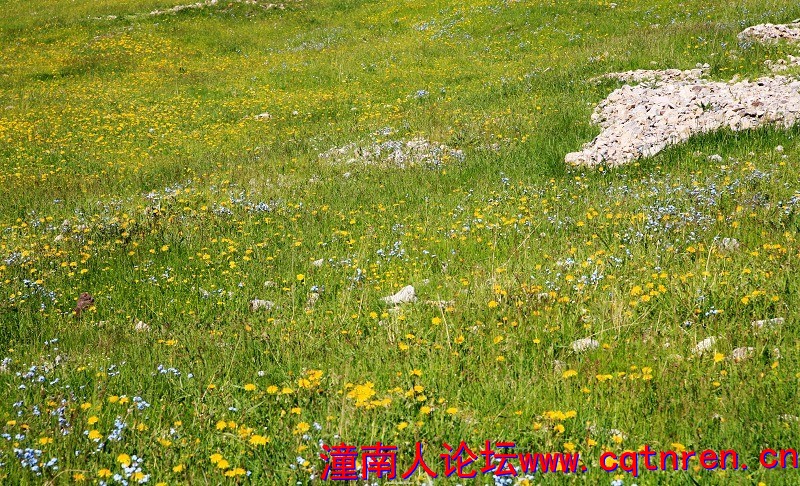e160512d5a6635a0aeca226e3d48c6e5.jpg