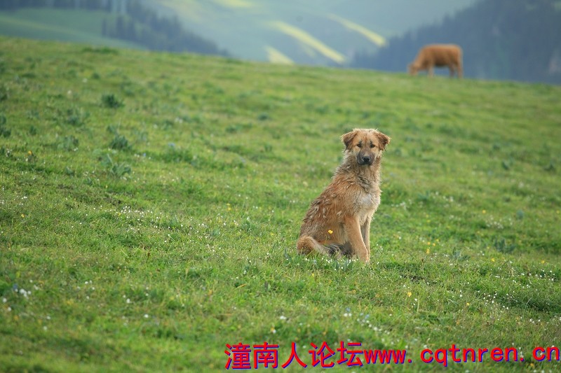 bdf66dd5140462cd1cf640a5f71fa28a.jpg