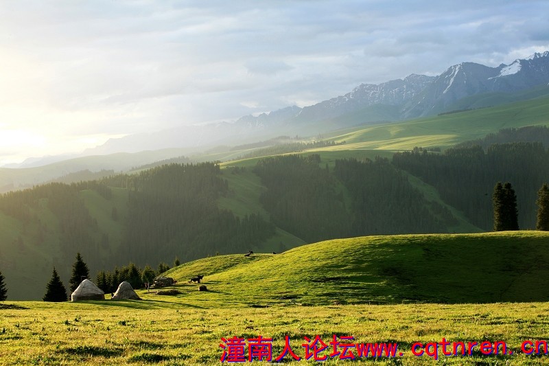 da9a0ed701421e80929de89fb78736e2.jpg