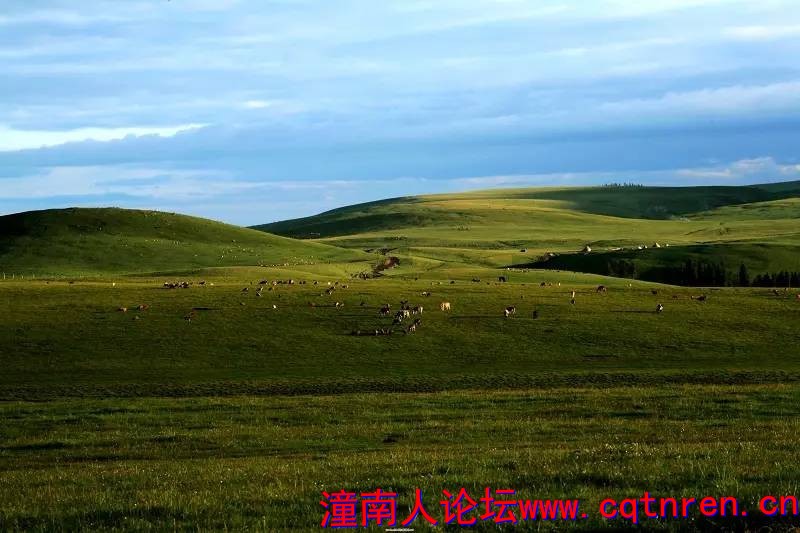 45b6261c05c469dbf4195db51da1b4fe.jpg