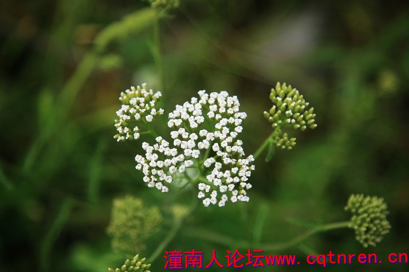 c9bac9682452dd8181d14947d99c4550.jpg