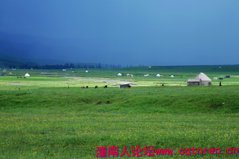 88004aeef7847c9838efab8ef3115992.jpg