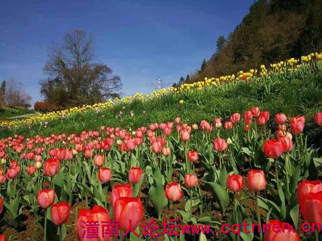 da030a1c5bc71297ad2bf53ae689cc6a.jpg