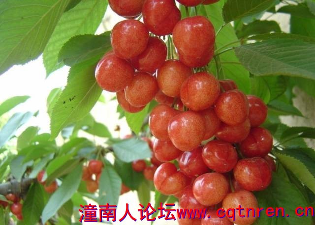 778159b03ae928cd17d6f6e71ae52102.jpg
