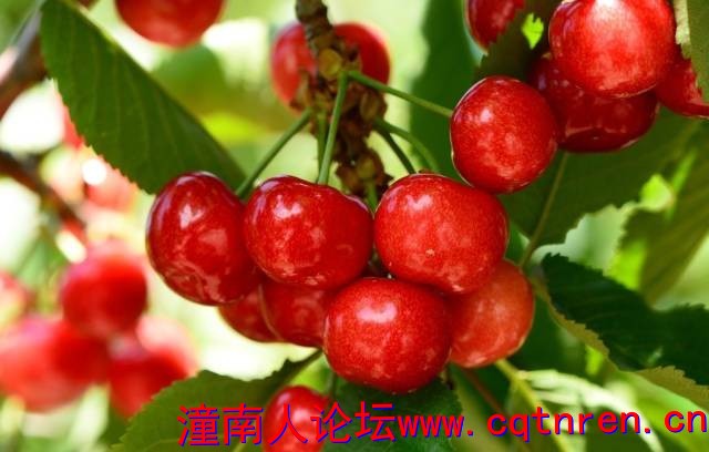 674c2cb5d09039e6e958fbdcaf19b1cc.jpg