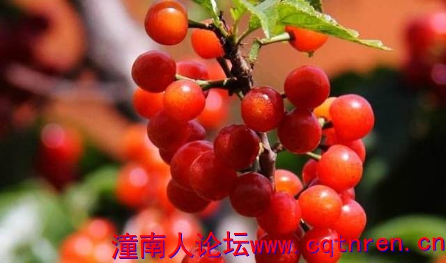 5c6f69b3943c21c47691cf8ebeeea6a8.jpg