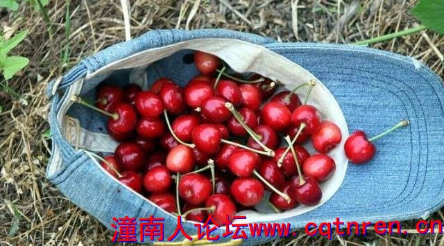 e6f4cad0034ec13d860fa8628628a7ef.jpg