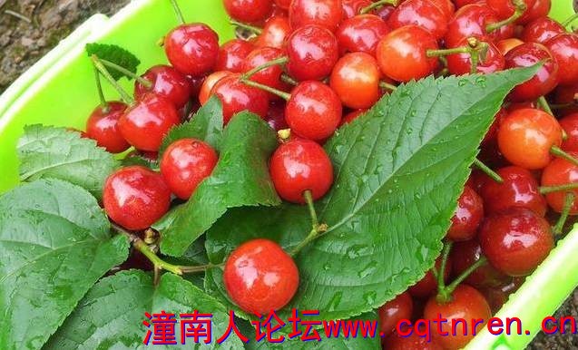 36ddf7790c0afb667f13d4090c71b00a.jpg