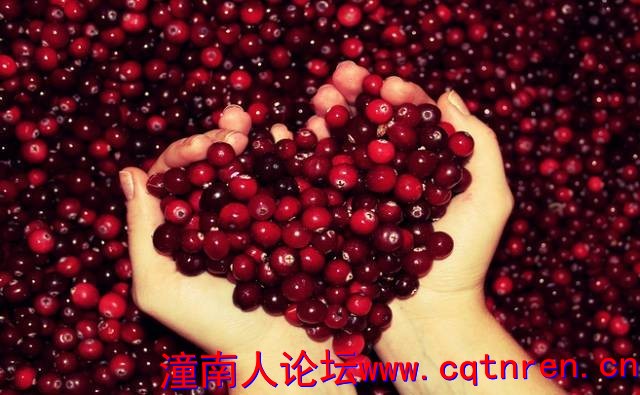 601d35fa97010c71cd051754e8fb467a.jpg
