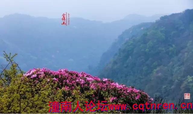 d868e44dea59c2074a7b3d6f8460a8bc.jpg