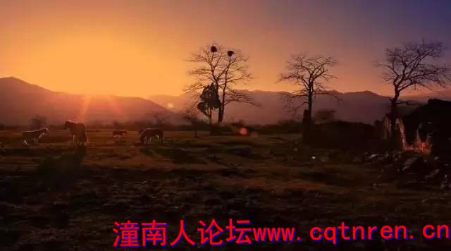 77f611121f9a5071831d7fd1778abba9.jpg