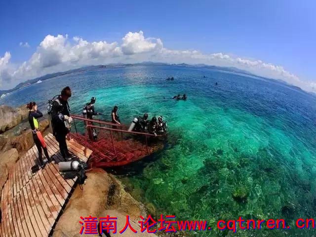 15d247296a4db96afeb2b3ff7ad2563d.jpg