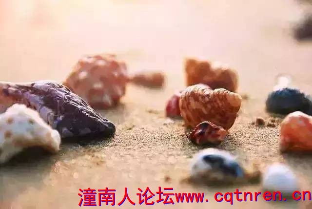 b73841c1e7c2f4998ca3ab263e4335b8.jpg